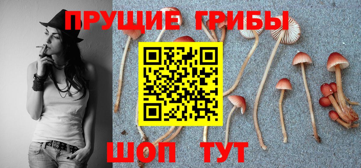 Шахты  Галлюциногенные грибы прущие грибы  Вход с VPN 